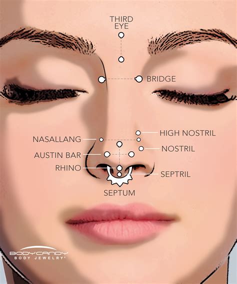 anatomy for septum piercing|getting your septum pierced.